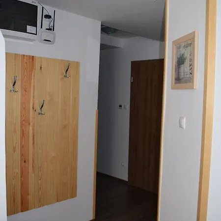 Apartament Apartmenthaus Esther Ramingstein